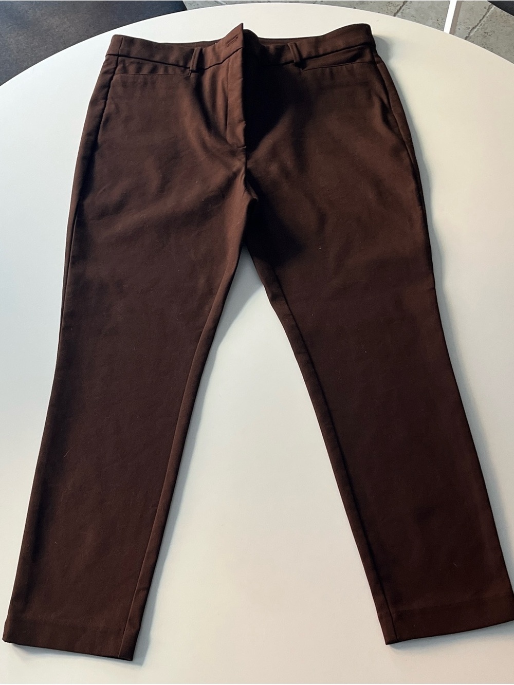 LOFT women’s pants